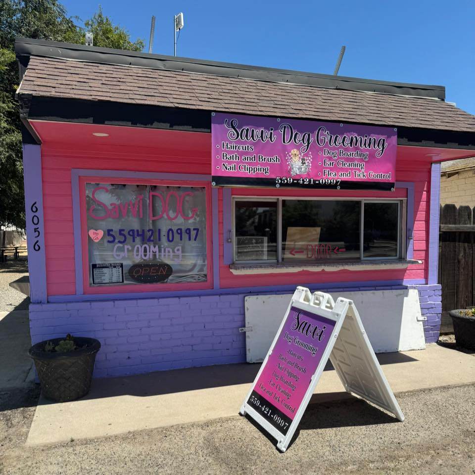 Savvi Dog Grooming