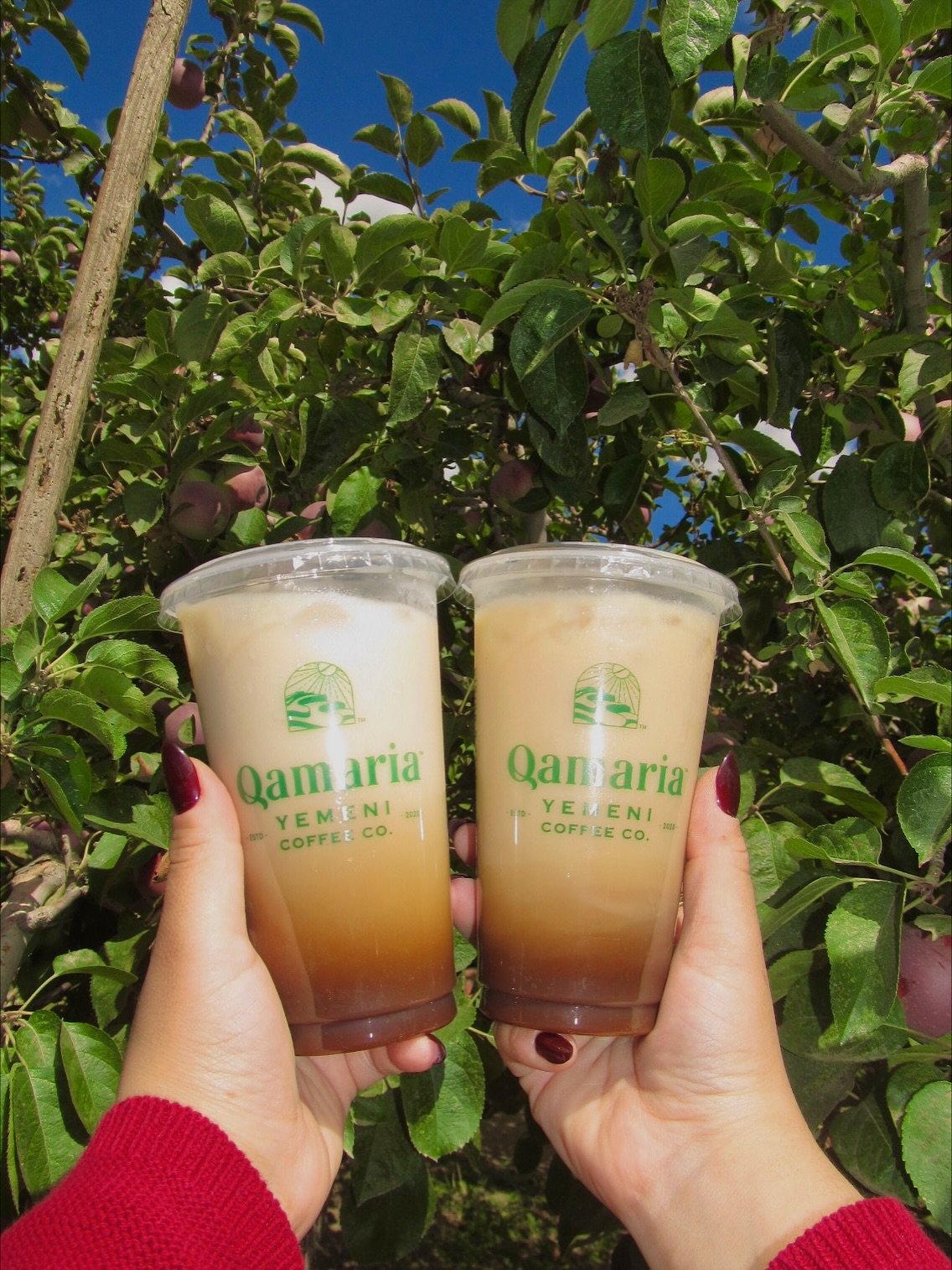 Qamaria Yemeni Coffee Co.