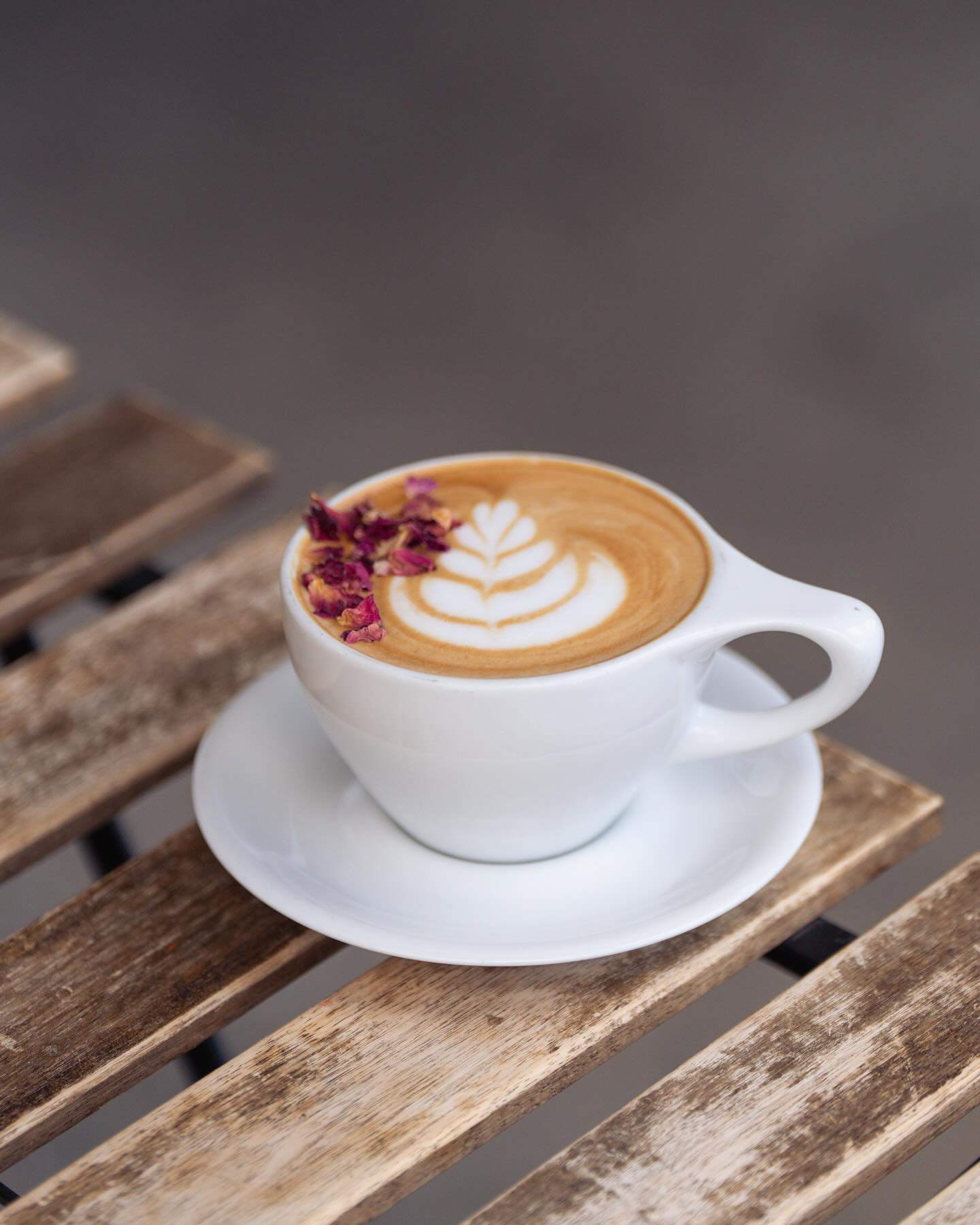 Alchemist Coffee Lab