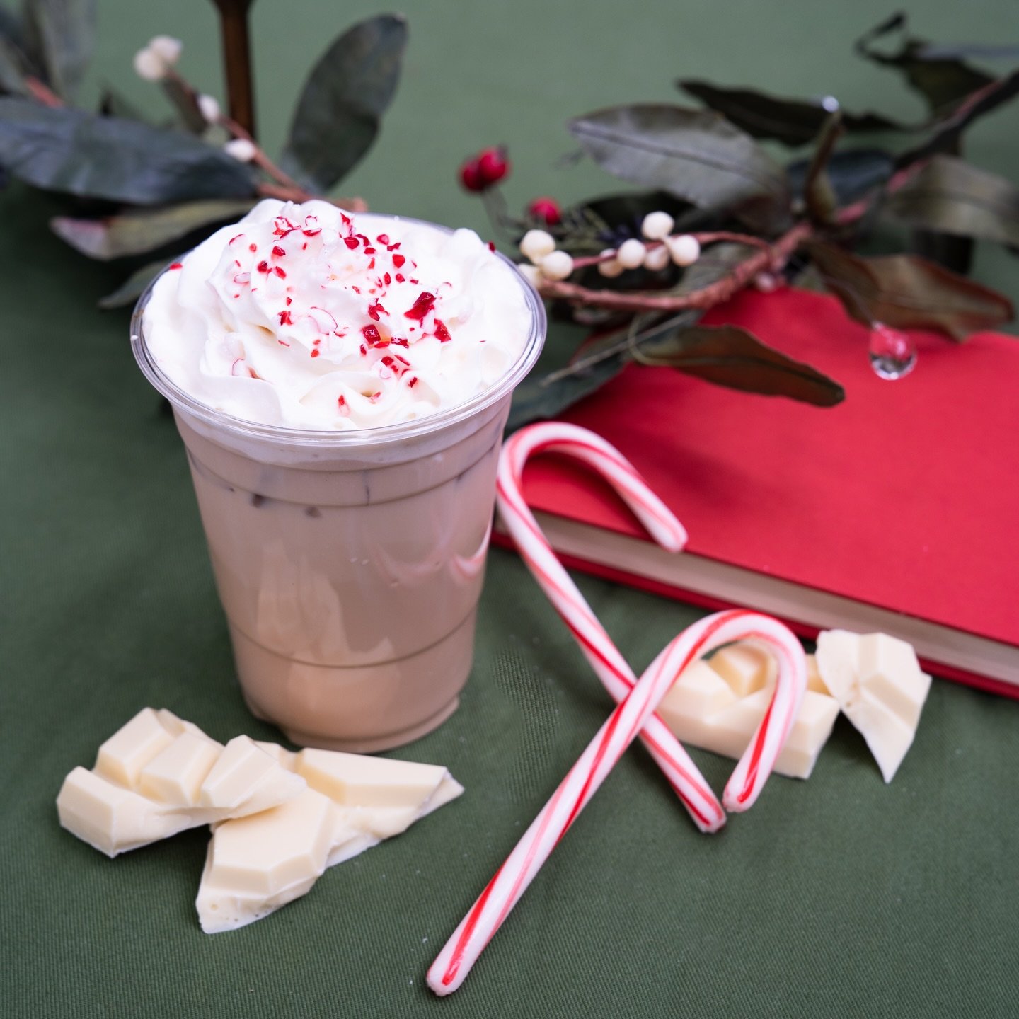 Monstera Coffee Studio