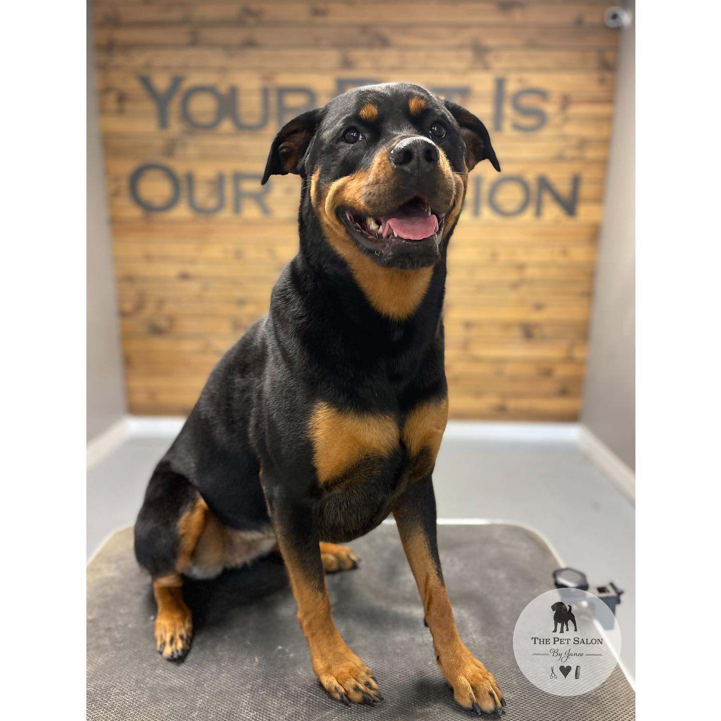 The Pet Salon By Janae