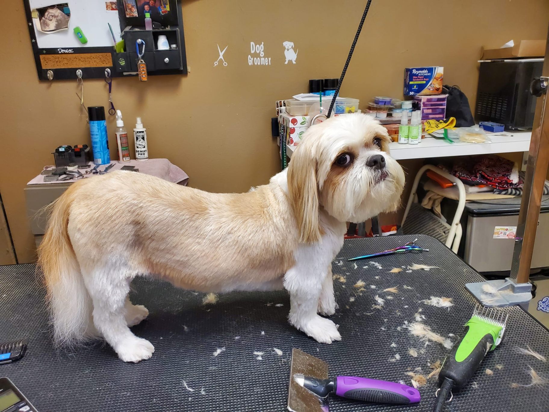 Bark'n Biscuit Salon