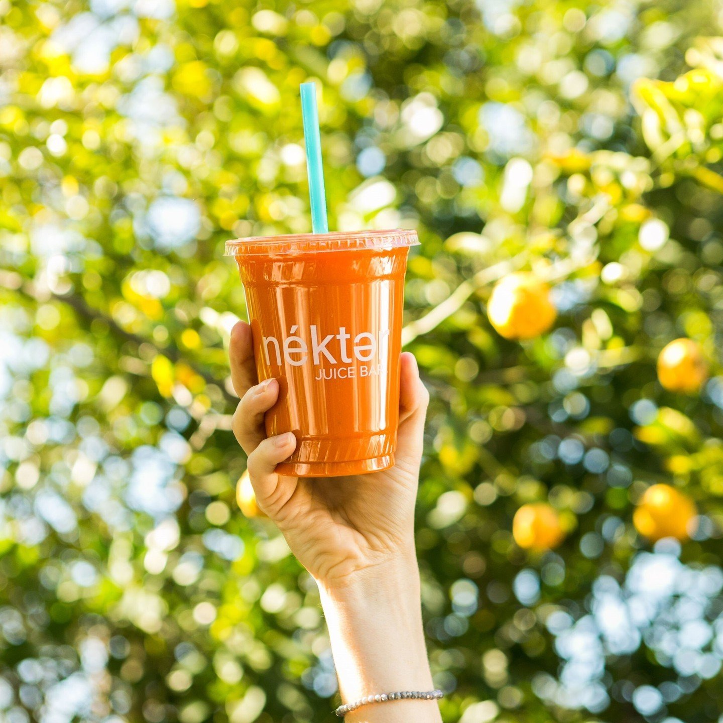 Nekter Juice Bar